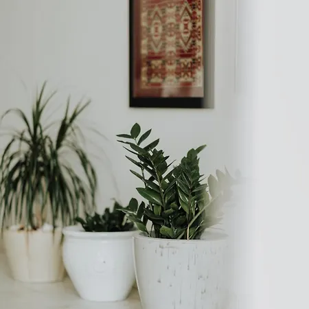 Mimoza's Sea View * PalaiónTsiflíkion