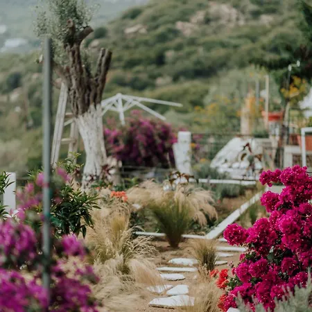 아파트 Mimoza's Sea View *