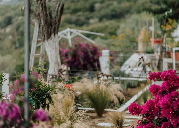 Apartamento Mimoza's Sea View *