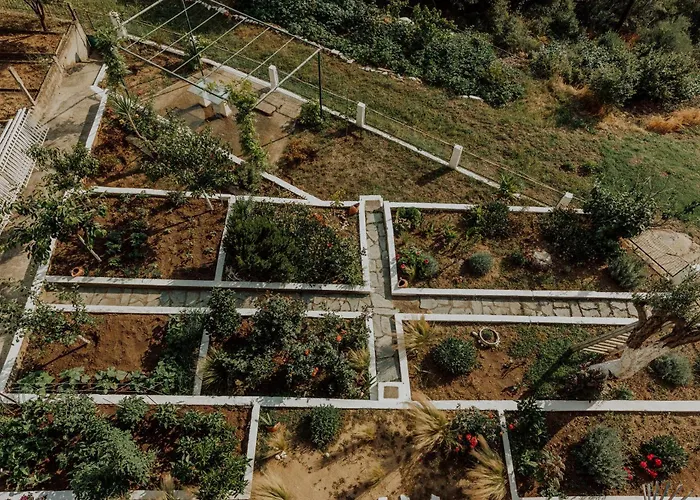 Mimoza's Sea View PalaiónTsiflíkion