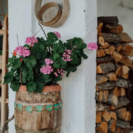 Mimoza's Sea View Apartamento PalaiónTsiflíkion