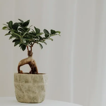 Mimoza's Sea View Apartamento PalaiónTsiflíkion