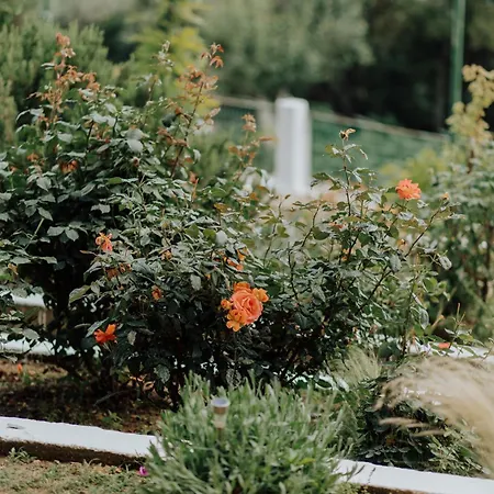 Apartamento Mimoza's Sea View