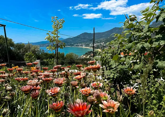 Mimoza's Sea View *