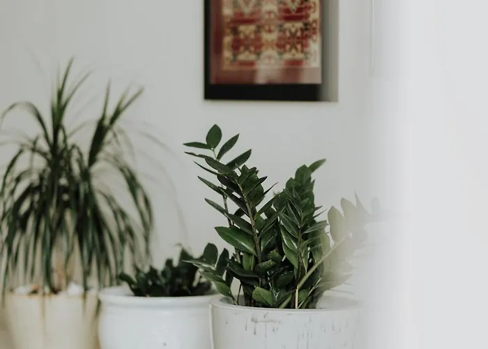 Mimoza's Sea View * PalaiónTsiflíkion