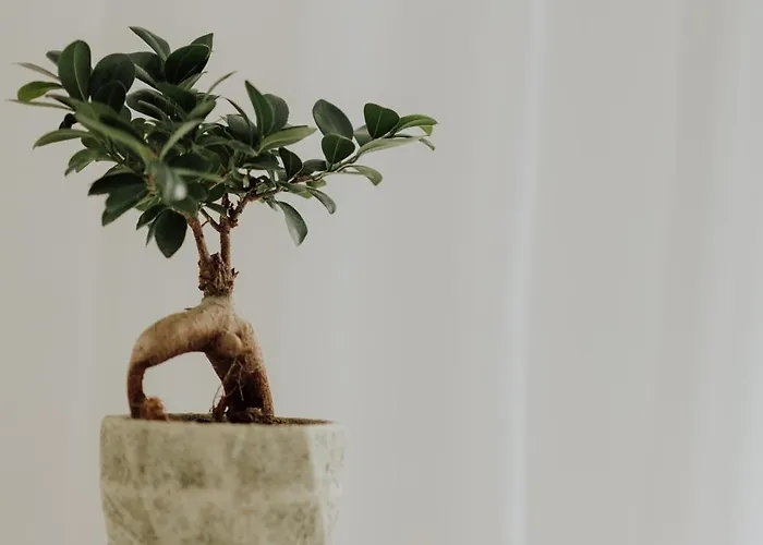 Mimoza's Sea View 公寓 PalaiónTsiflíkion